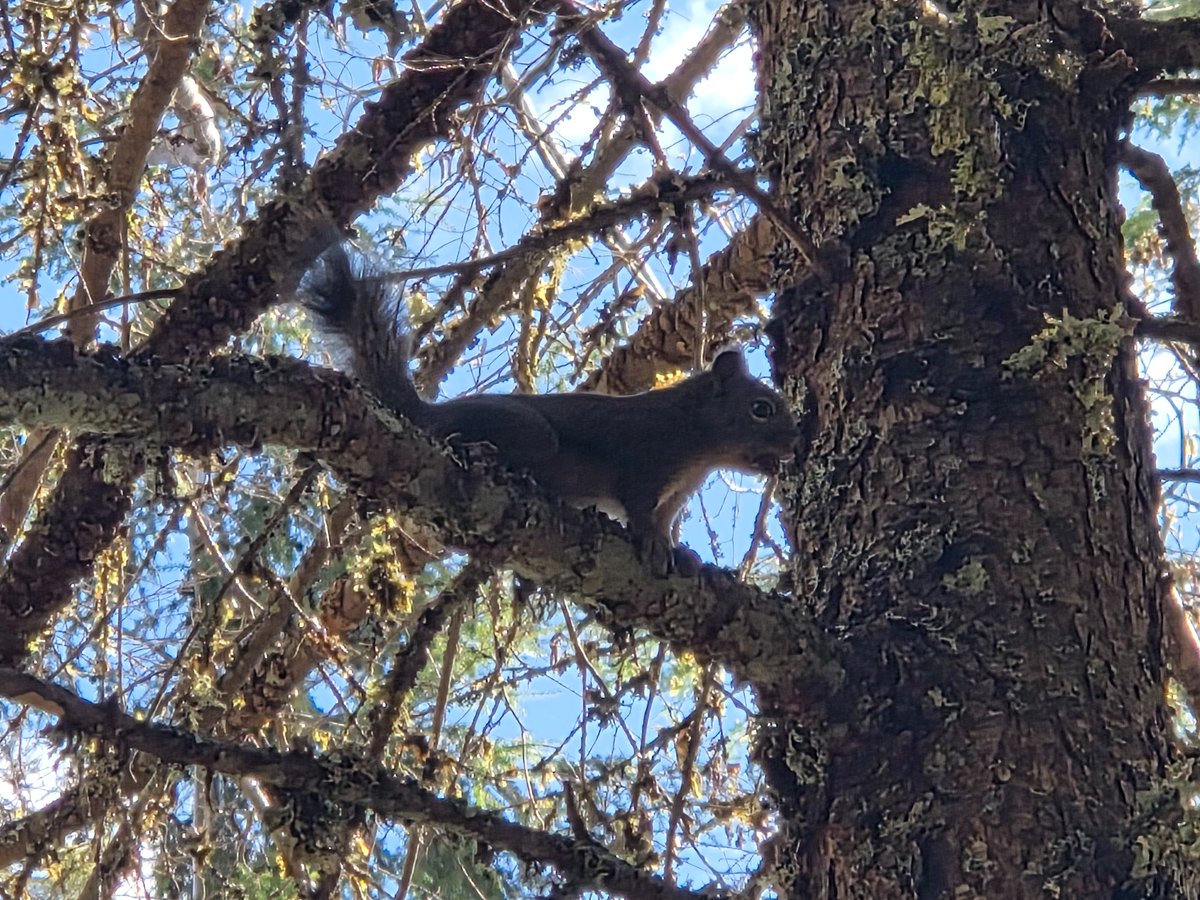 Jeremiah tweet media