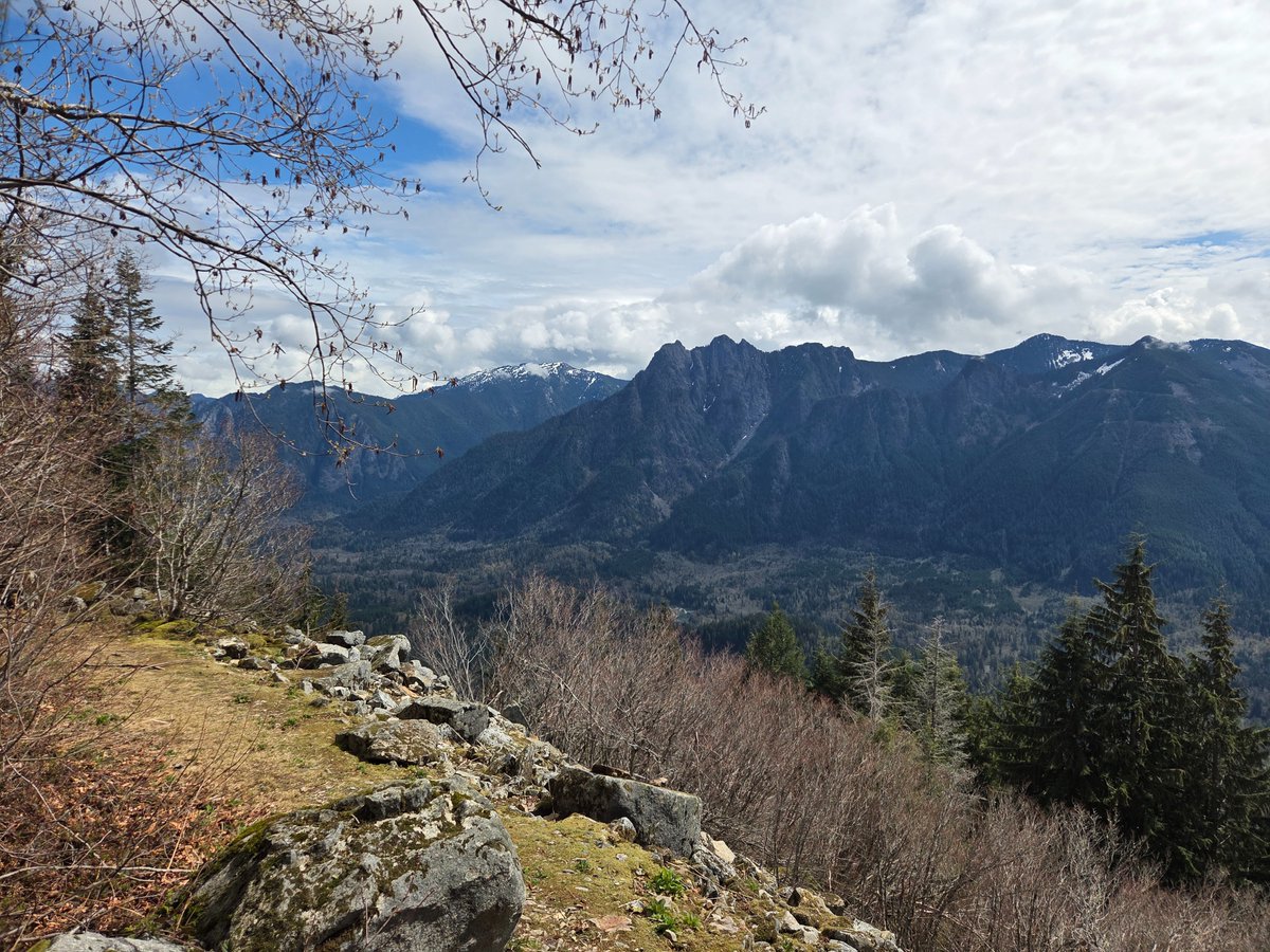 Jeremiah tweet media