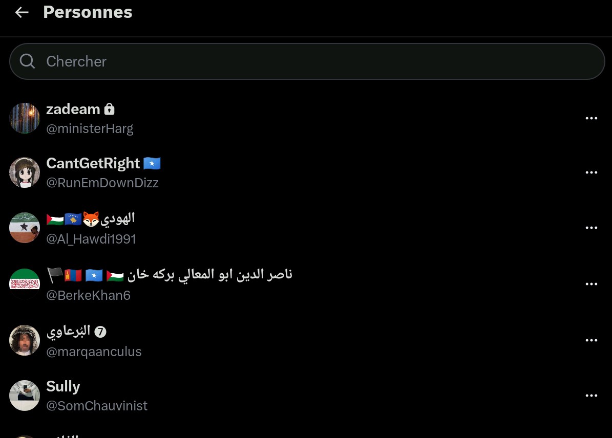 Abdulah🦁🇩🇯🇧🇪🥋 tweet media