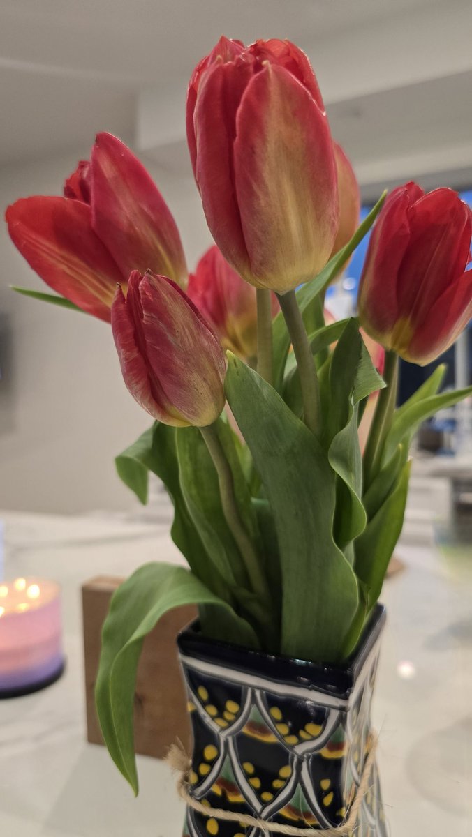 jcae2008's tweet image. Flowers make me smile. Today, I chose these beauties 🌷
#SelfLove