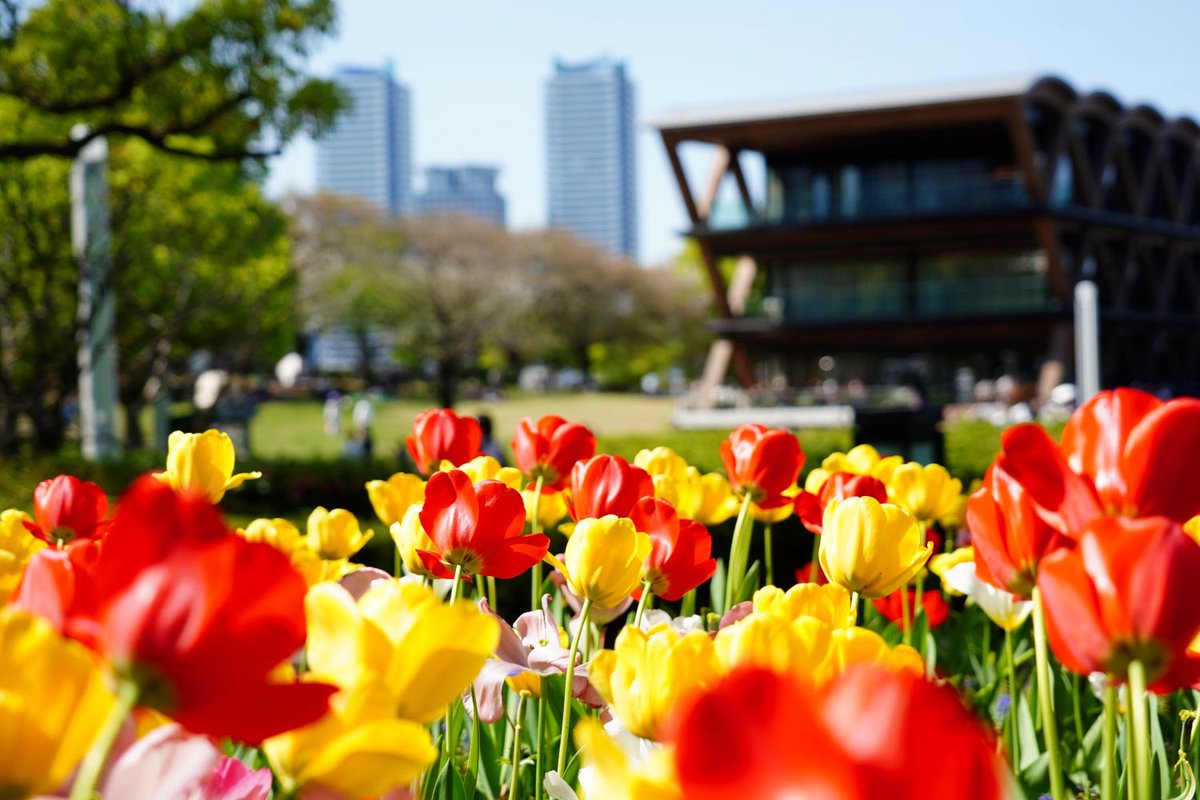 ガーデンネックレス横浜公式 tweet media