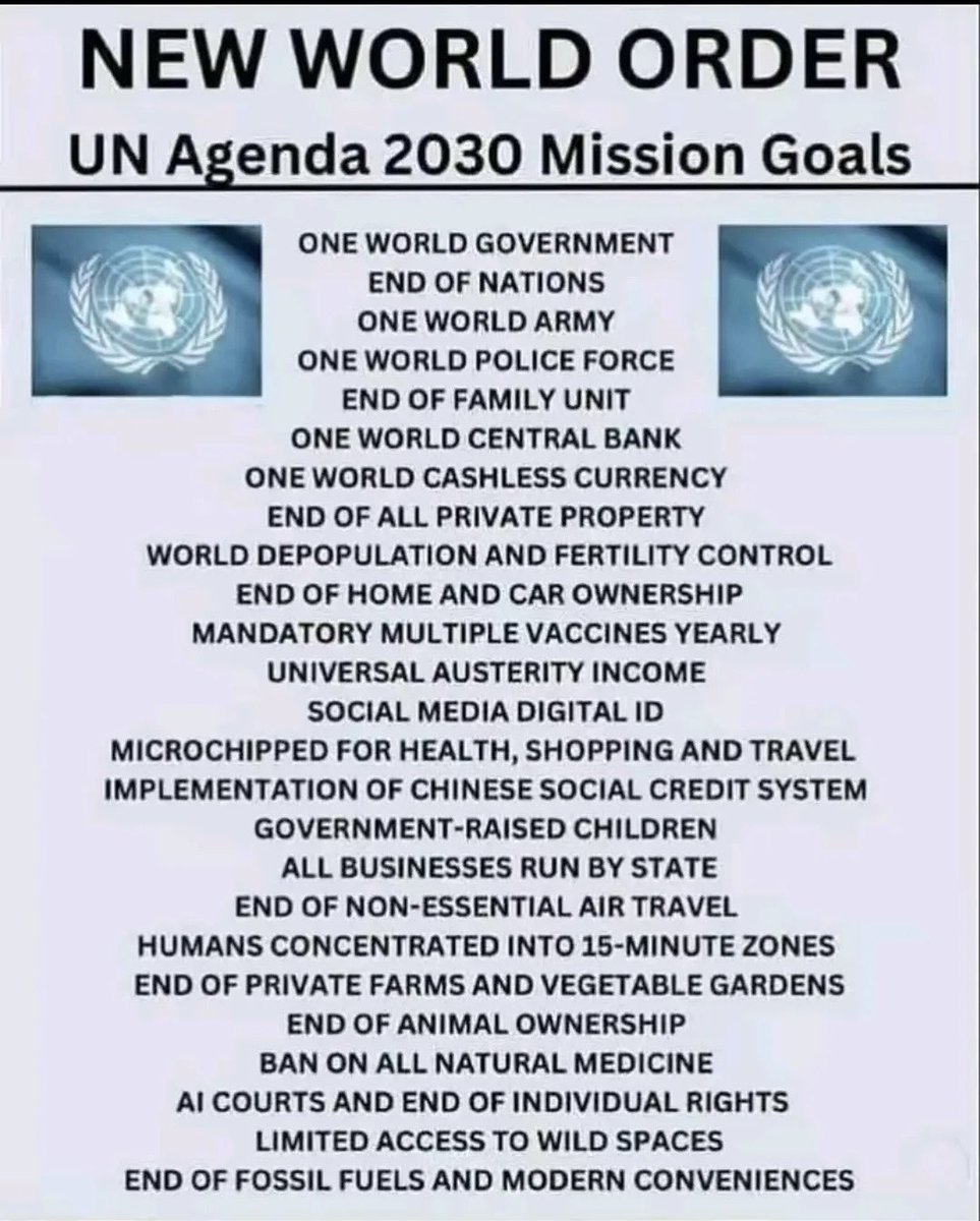 Magnolias tweet media