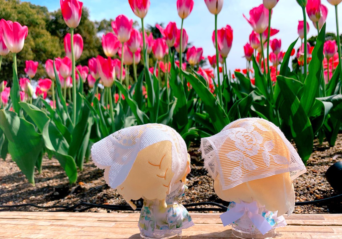 ゆうさん！？ tweet media