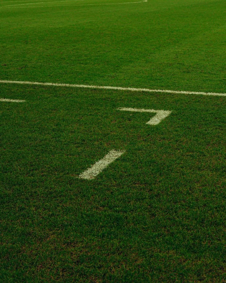 Fernando Diniz tweet media