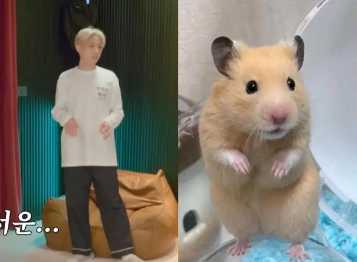 rawr riki! ★ sevEN- tweet media