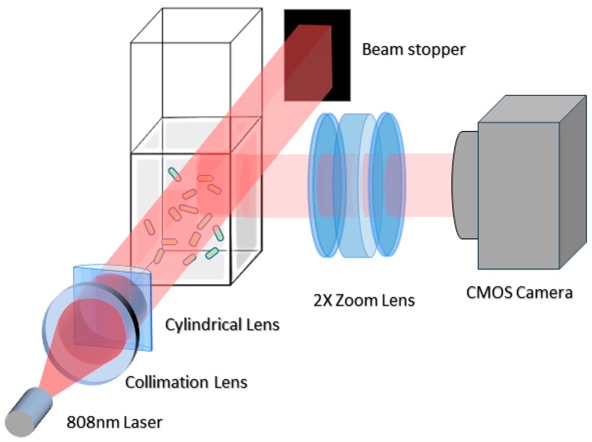 Biosensors_MDPI's tweet image. 📣Call for Reading:

#Article

Deep Learning-Based Culture-Free Bacteria Detection in Urine Using Large-Volume Microscopy

By Shaopeng Wang, et al.

mdpi.com/2079-6374/14/2…

#bacteria_detection #diagnostics #microscopy #biosensor #Open_Access