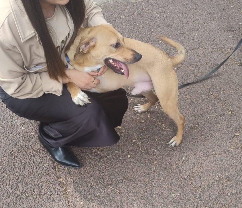 𝙷𝚎𝚕𝚊 𝙼𝚘𝚛𝚎 🐶 tweet media