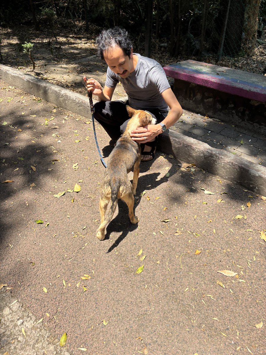 Rousberries tweet media