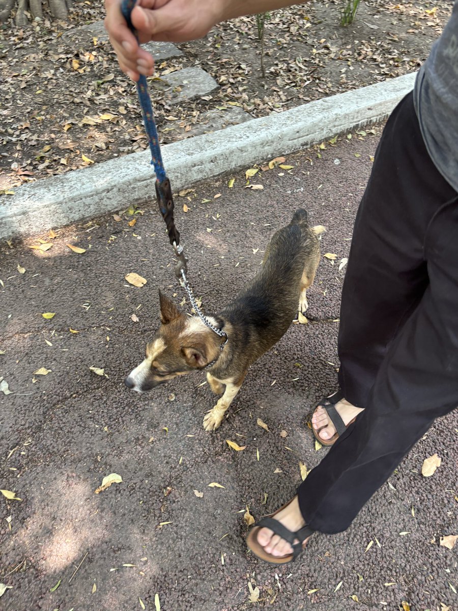 Rousberries tweet media