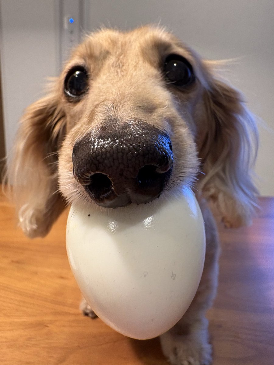 Sally papa tweet media