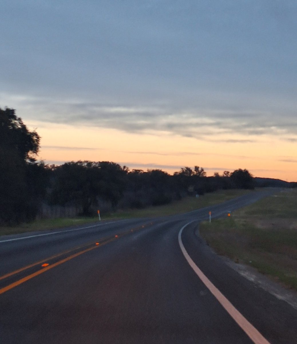 BasedTexan tweet media