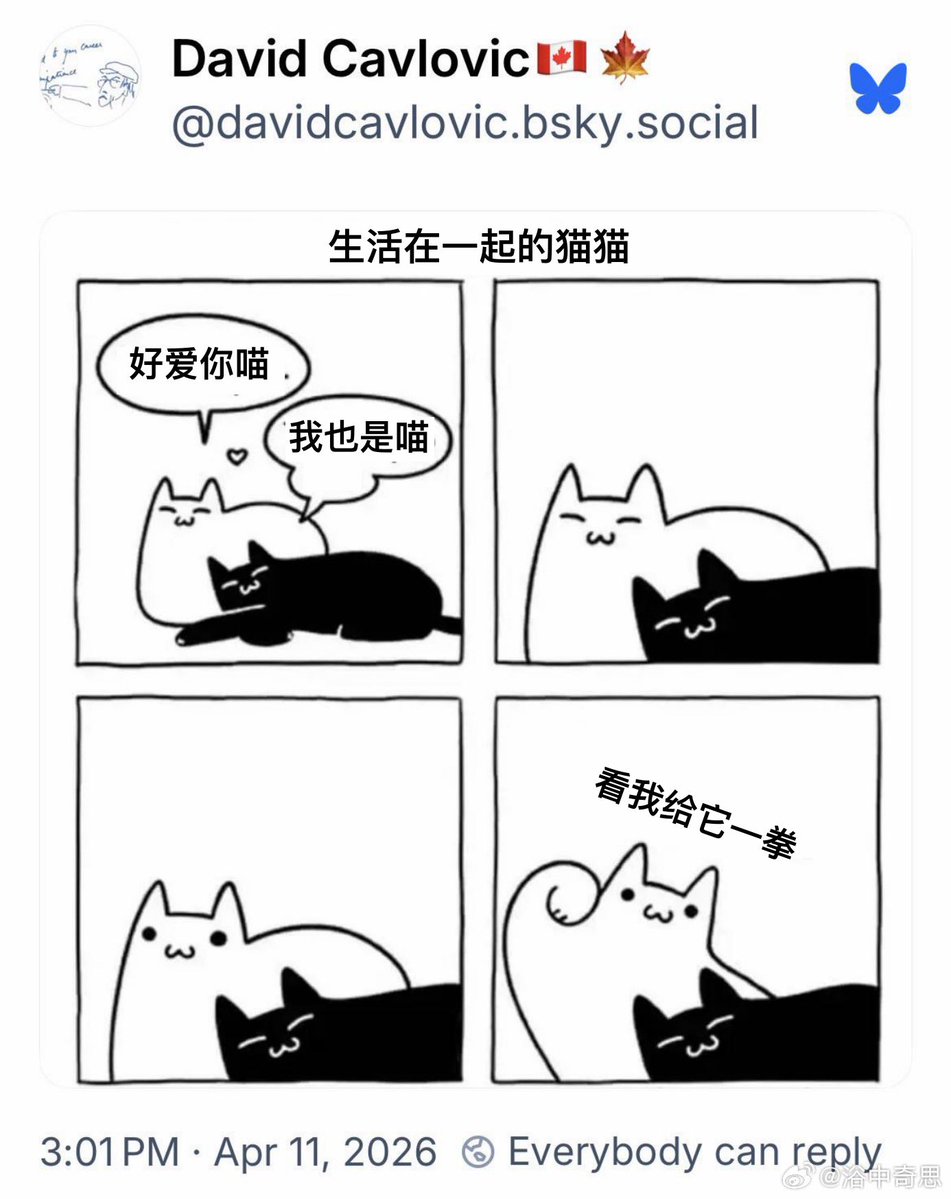 禿道道🐟 tweet media