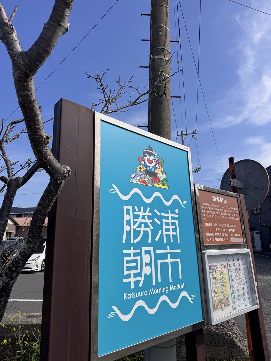 maee0905's tweet photo. 2日3日千葉県勝浦市にてキャンプ⛺️
3/20~3/22

1日目
海ほたる行きたかったけど諦めた
激混みのため

2日目
勝浦朝一~鴨川シーワールド~勝浦タンタン麺

3日目
スープカレー~東京ドイツ村

莉奈は鴨川シーワールドのシャチさんぬいぐるみがお気に入り

#キャンプ #鴨川シーワールド
#東京ドイツ村 https://t.co/DqYCscphf6