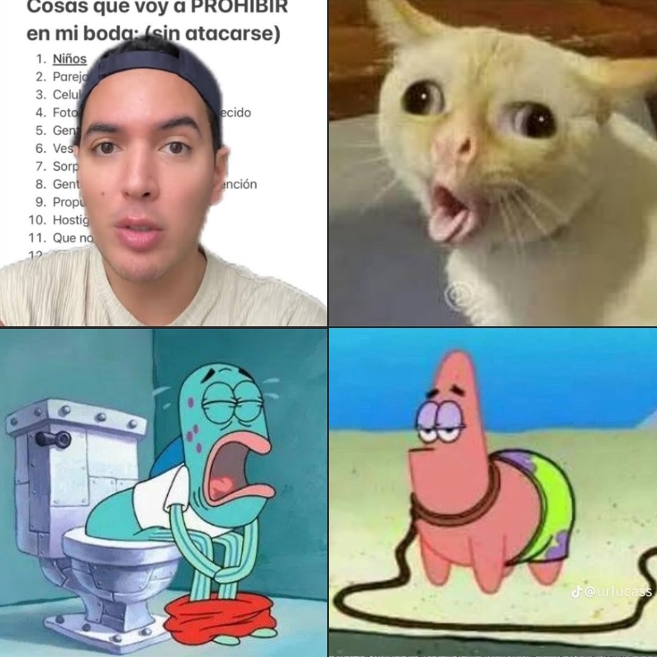 LIT Media tweet media