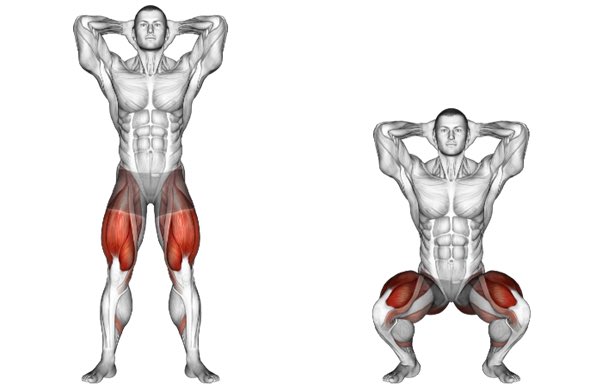 AYi_AInotes's tweet image. 每45分钟做10个深蹲，相当于走了一万步。

最近刷到这个爆火的深蹲帖，差点信了，我让龙虾帮我求证了下，一半对的，一半有些夸大，整体还是有帮助的，先说好的部分：

真实的研究确实存在，不过不是德州大学的，是浙大2024年发的。

找了18个超重的年轻男生，在实验室里测了8.5小时。