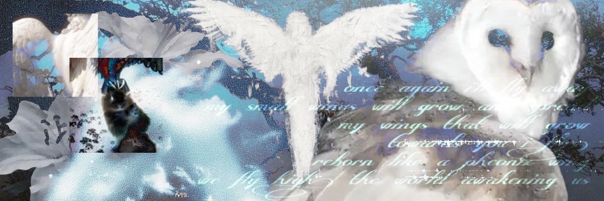 •.•*🧦🎧*•.• tweet media