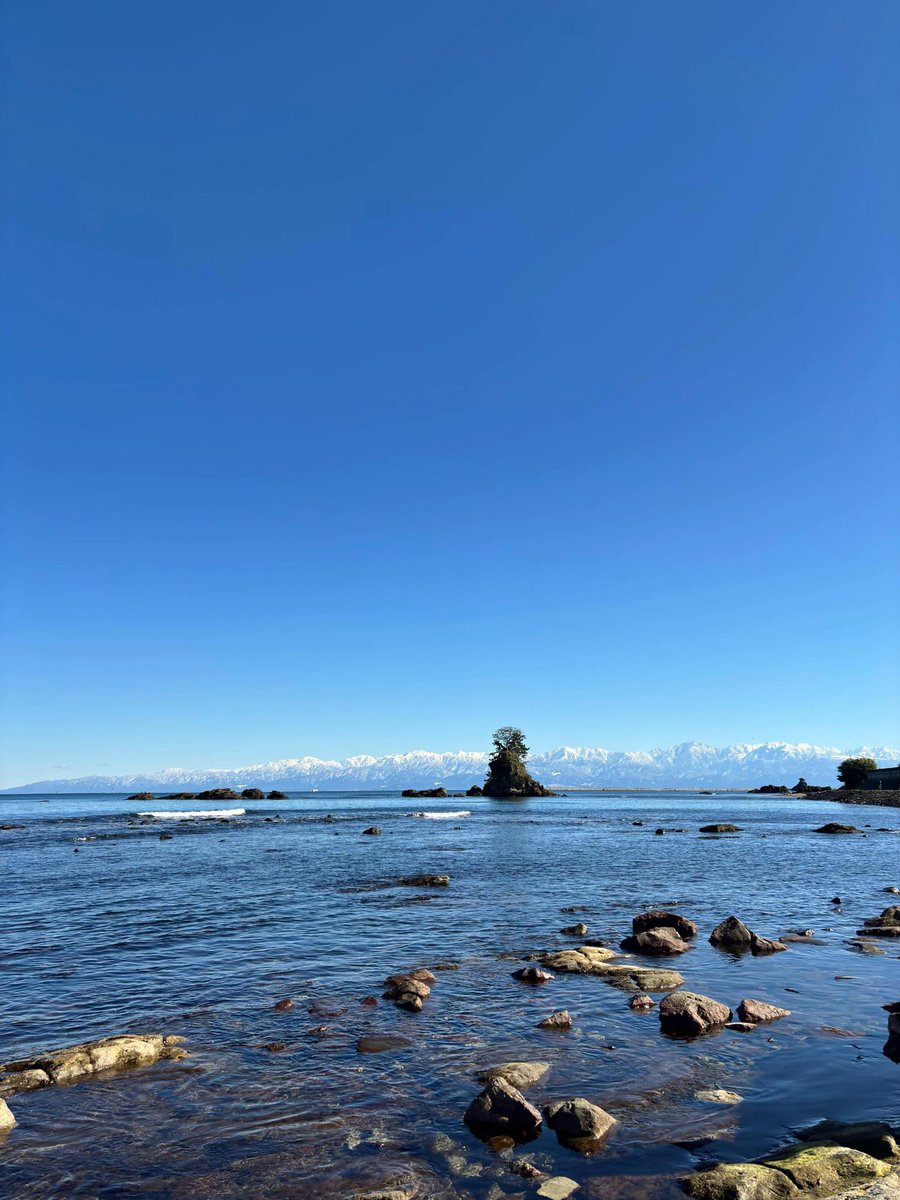 SoraHikari tweet media