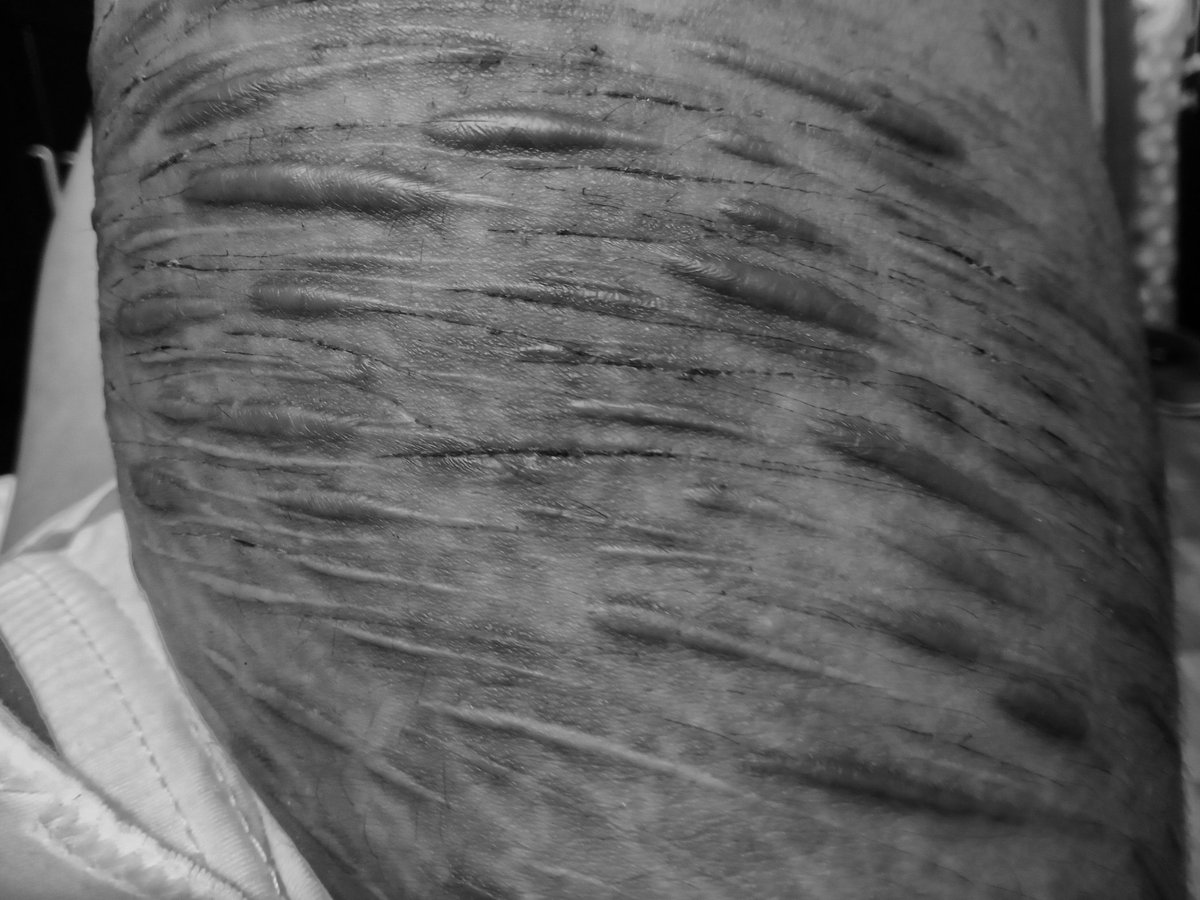 avery of 𝐬𝐡twt﹒ ⧼🌱⧽ tweet media