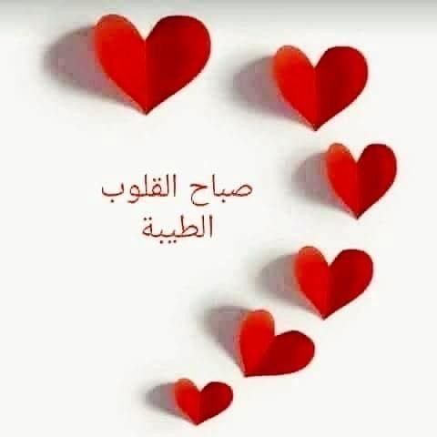 هلا العتيبي♥️ tweet media