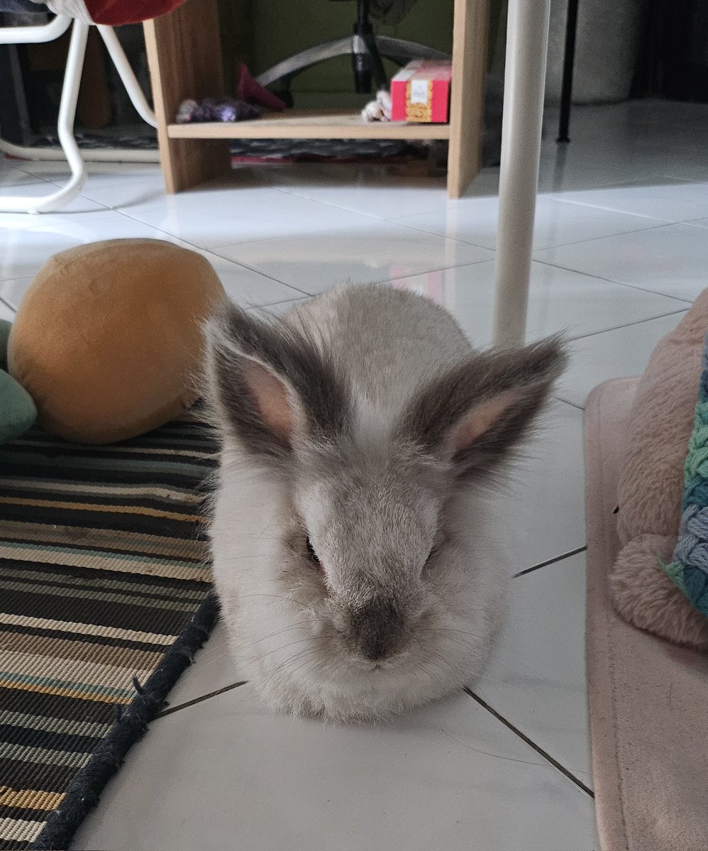 kerjacomot tweet media