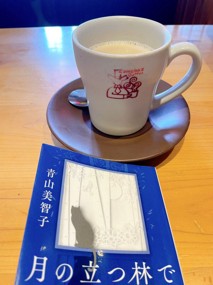 まなネコ♥️🐈 tweet media