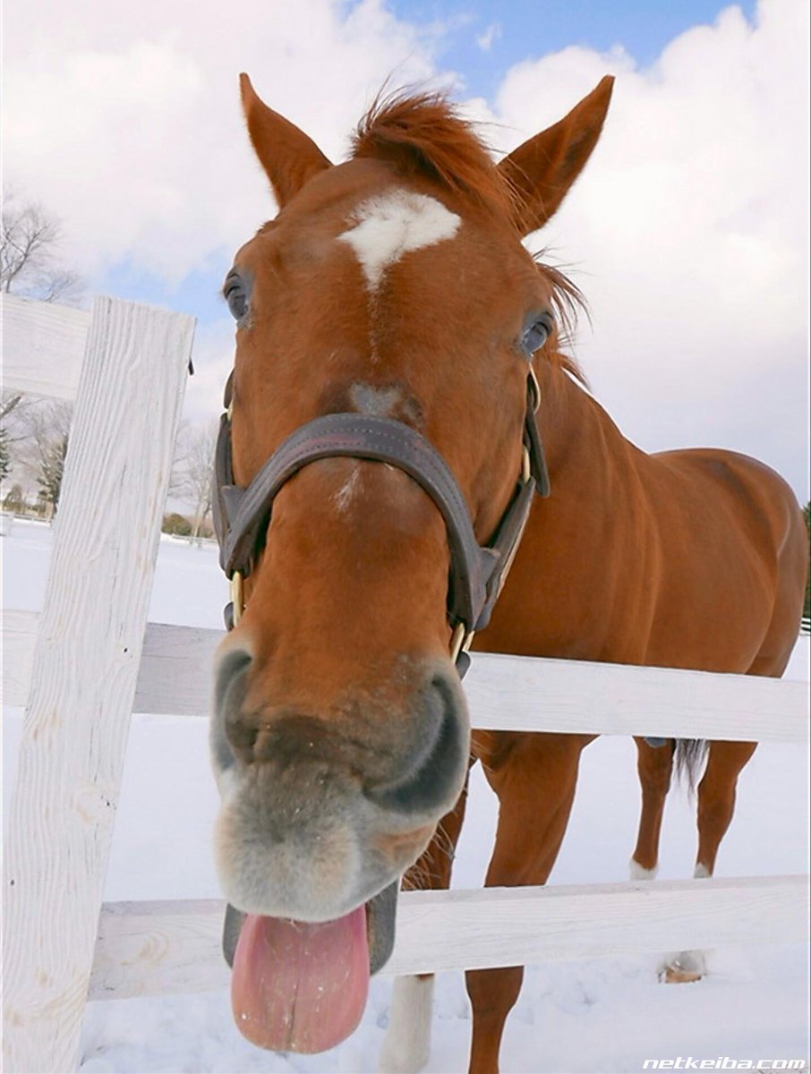 ryder 🍔 tweet media