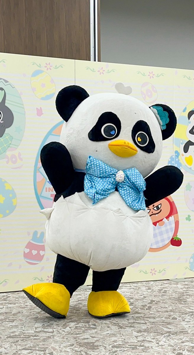 fujiiiii tweet media