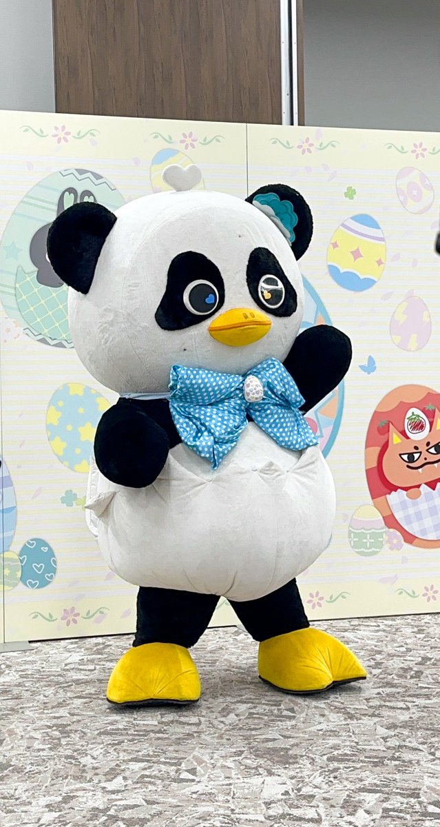 fujiiiii tweet media