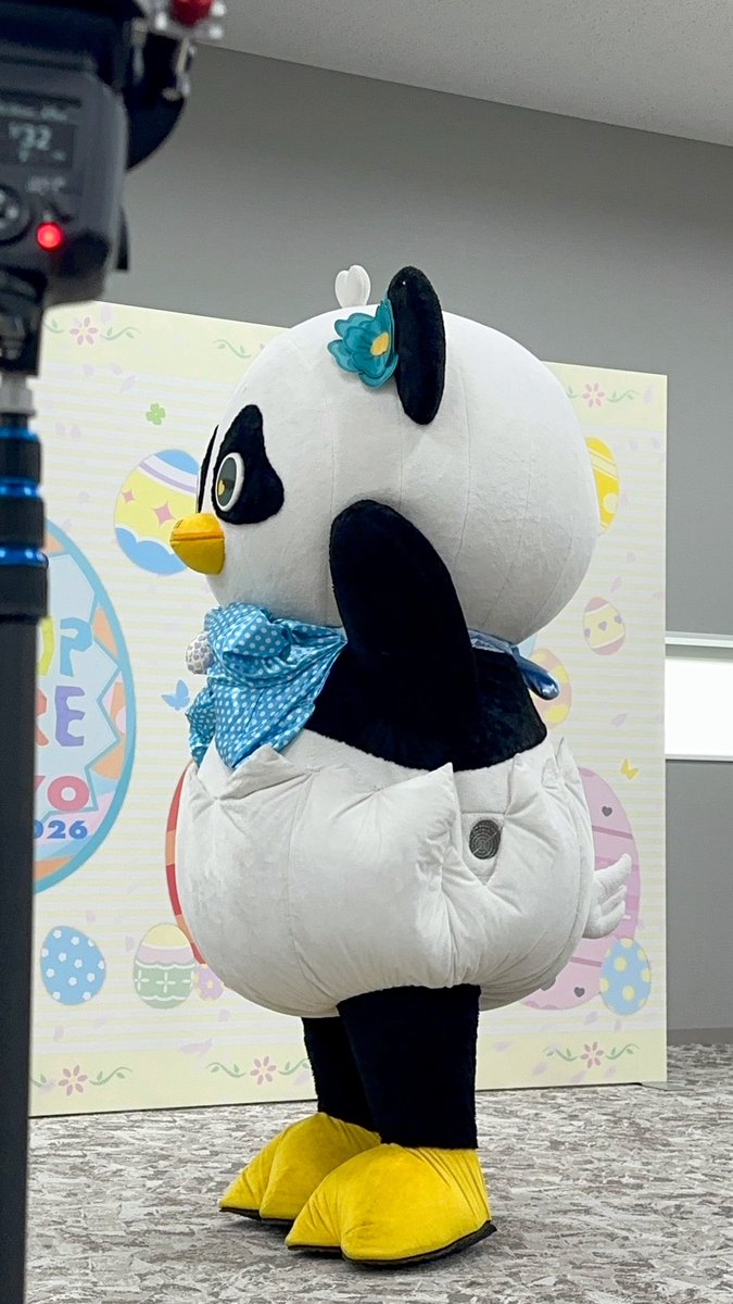 fujiiiii tweet media