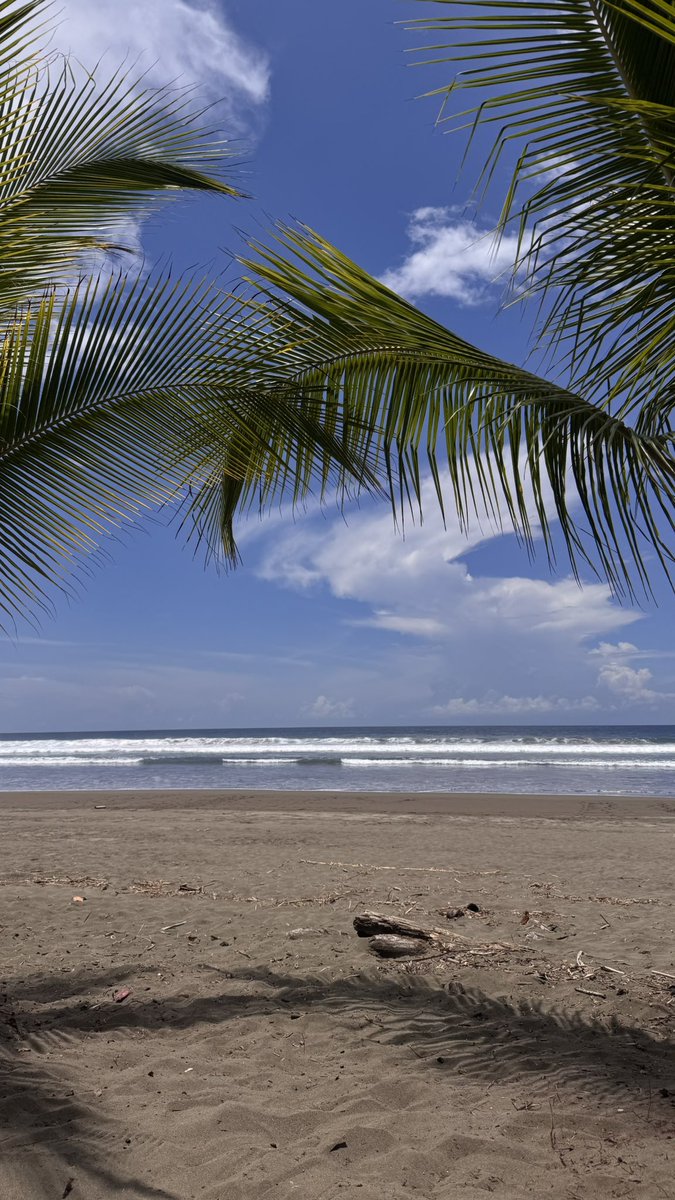 boyslovevibes's tweet image. Back home after a weekend of this