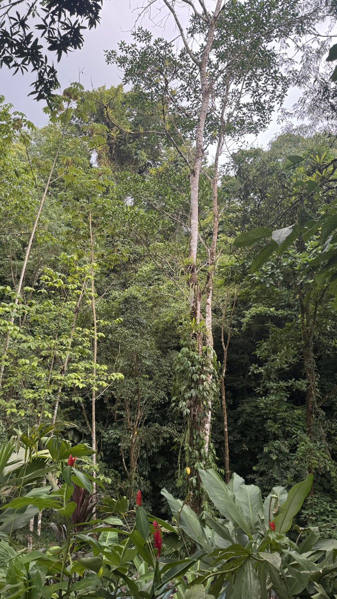 boyslovevibes's tweet image. Back home after a weekend of this