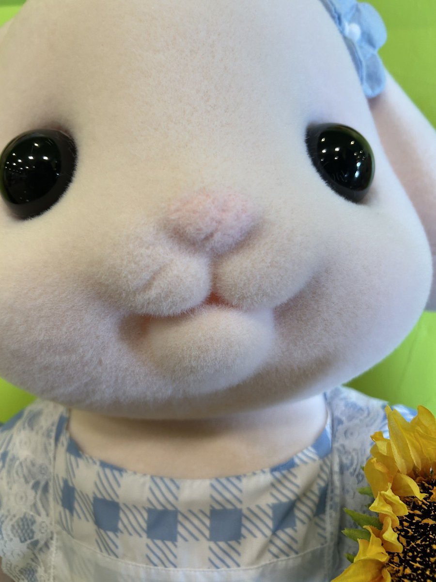 𝘮𝘰𝘤𝘩𝘪 🤍 ˊ˗〘 𝘚𝘪𝘭𝘷𝘈 〙 tweet media