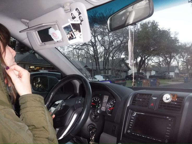 MythoAmerica 🌲 tweet media