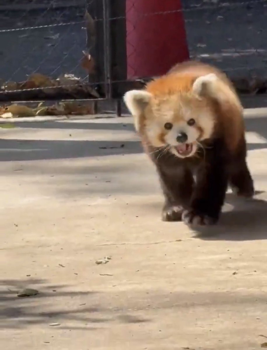 Zero_Slayr tweet media