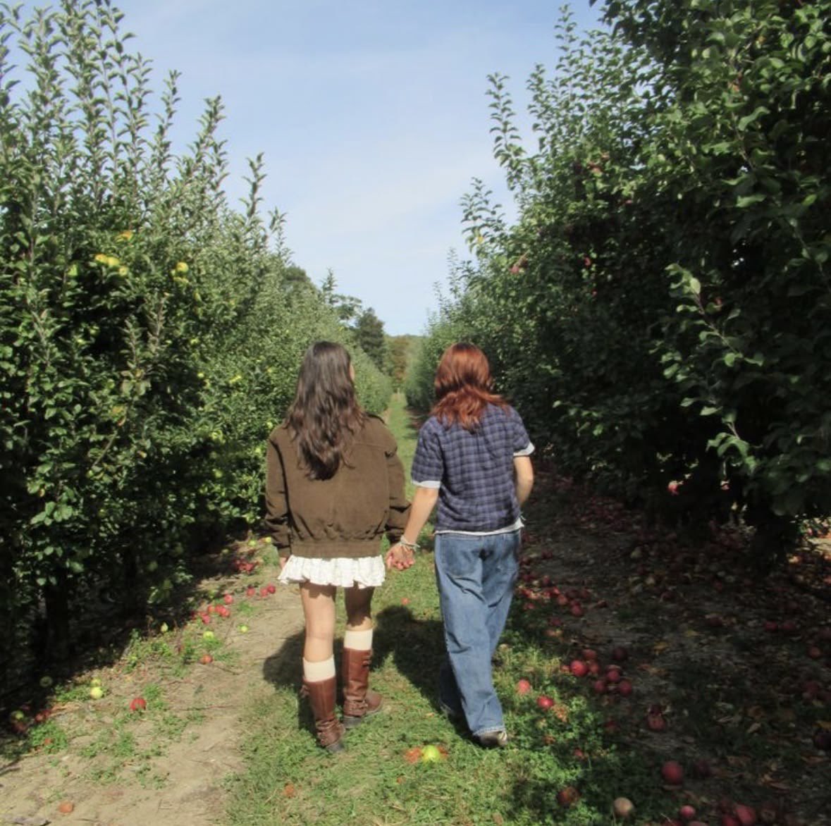 julia in the bubble ⚢ tweet media