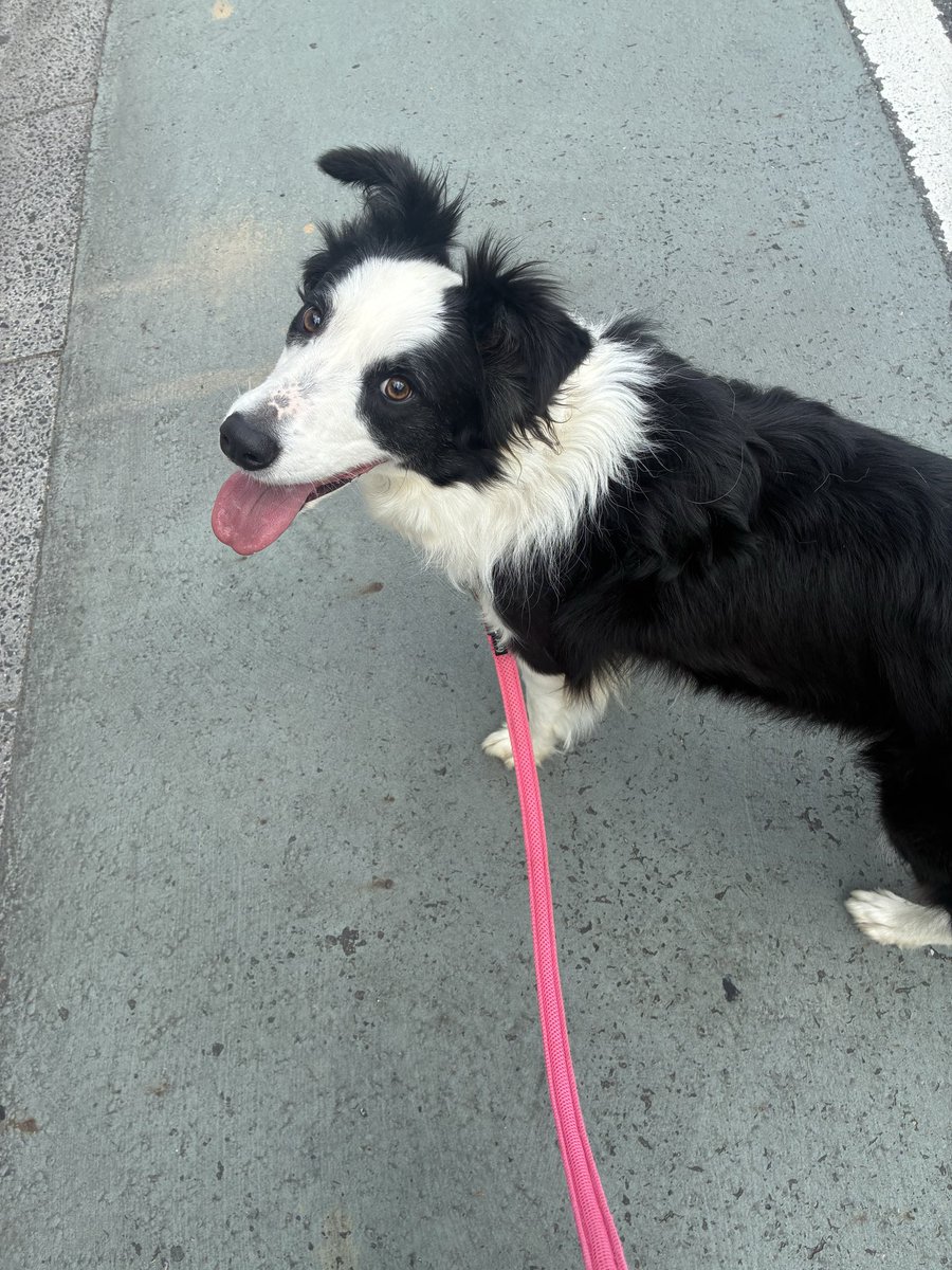 まみんごは7月全経上級受験✏️ tweet media