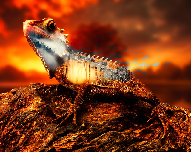 Daisy Pena tweet media