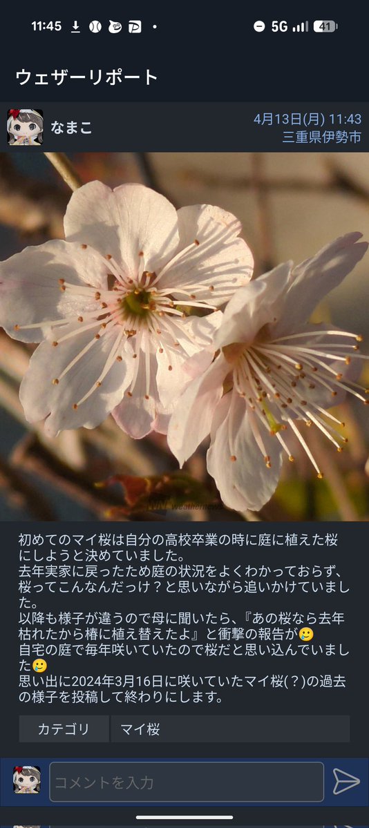 なまこ tweet media