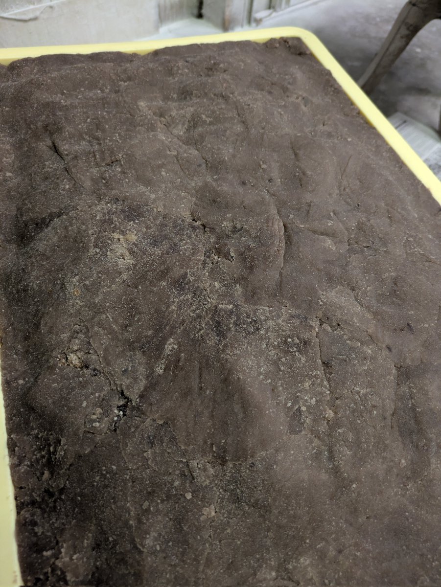 福住丸(フライケーキ屋さん)✈️🍰 tweet media