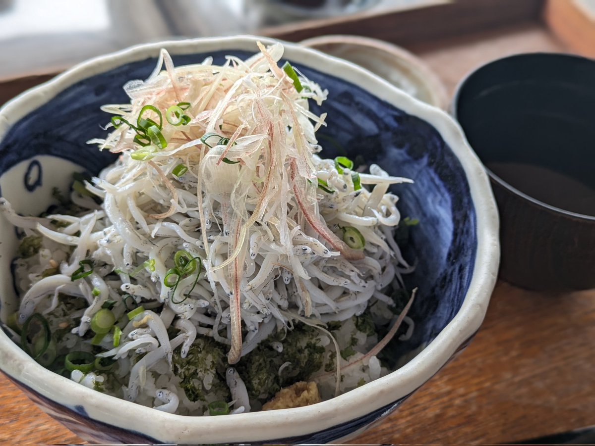 coco catlover tweet media