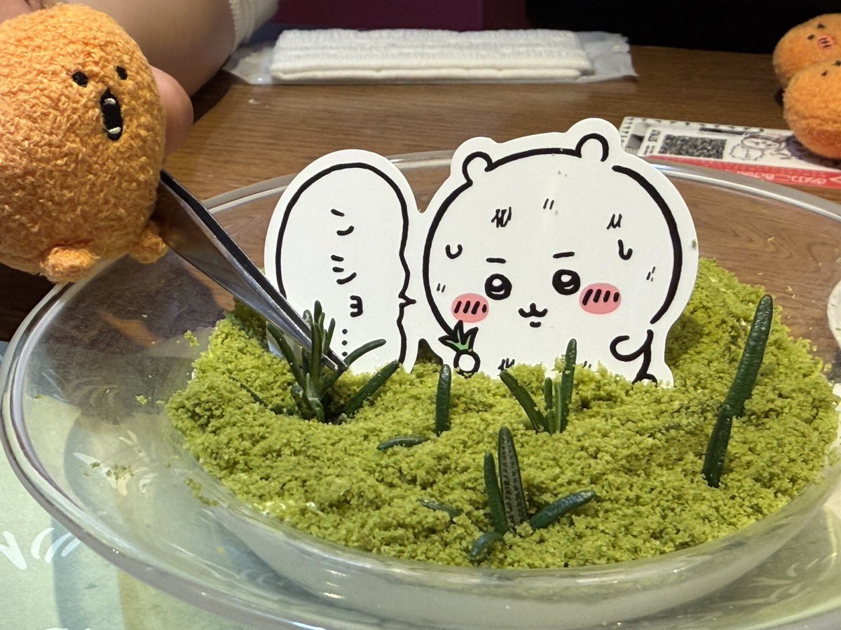 うさ山 tweet media