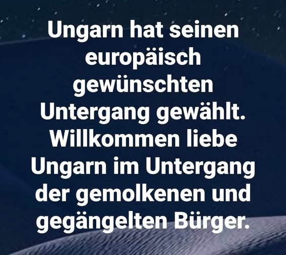 Maik Pittel tweet media