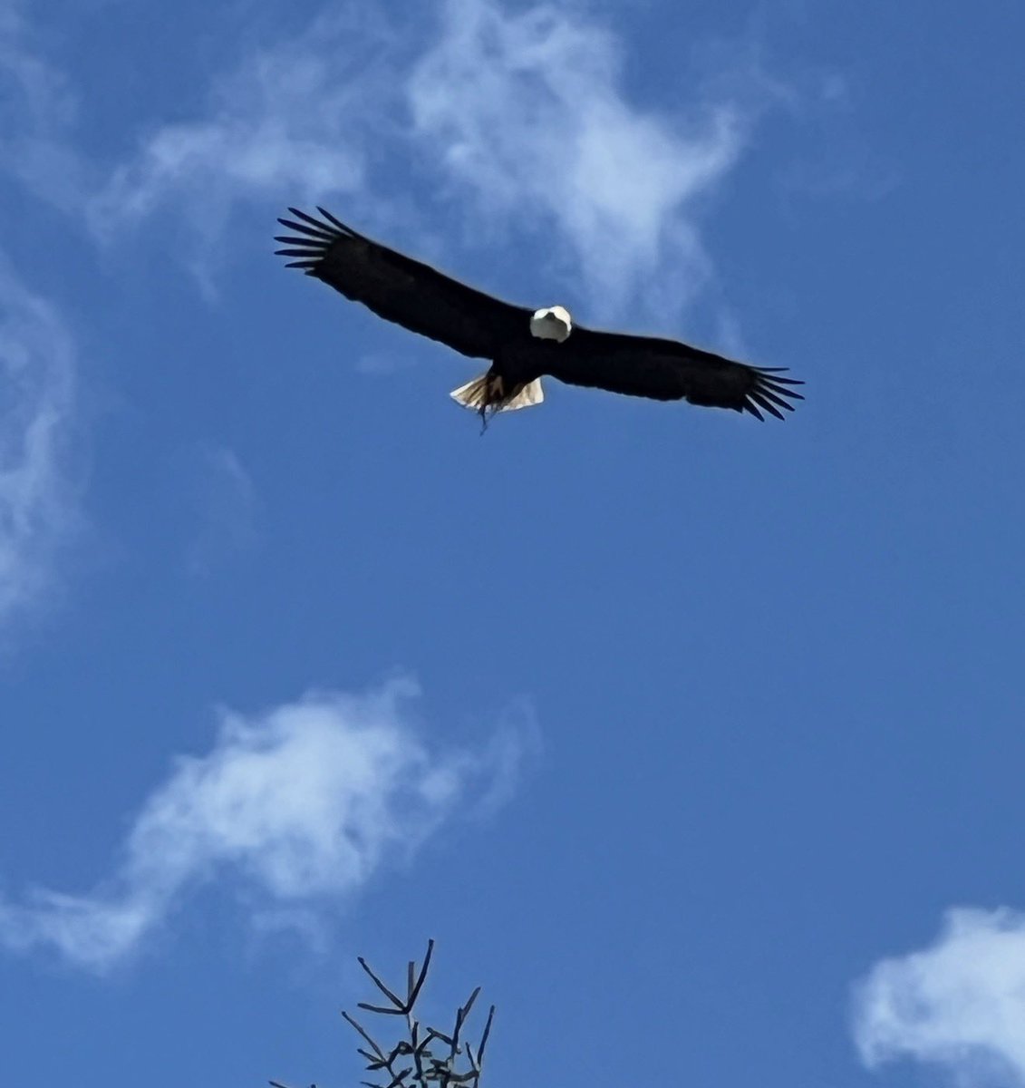 💖𝓒𝓪𝓶𝓲 𝓢𝔀𝓮𝓮𝓽𝓱𝓮𝓪𝓻𝓽💖 tweet media