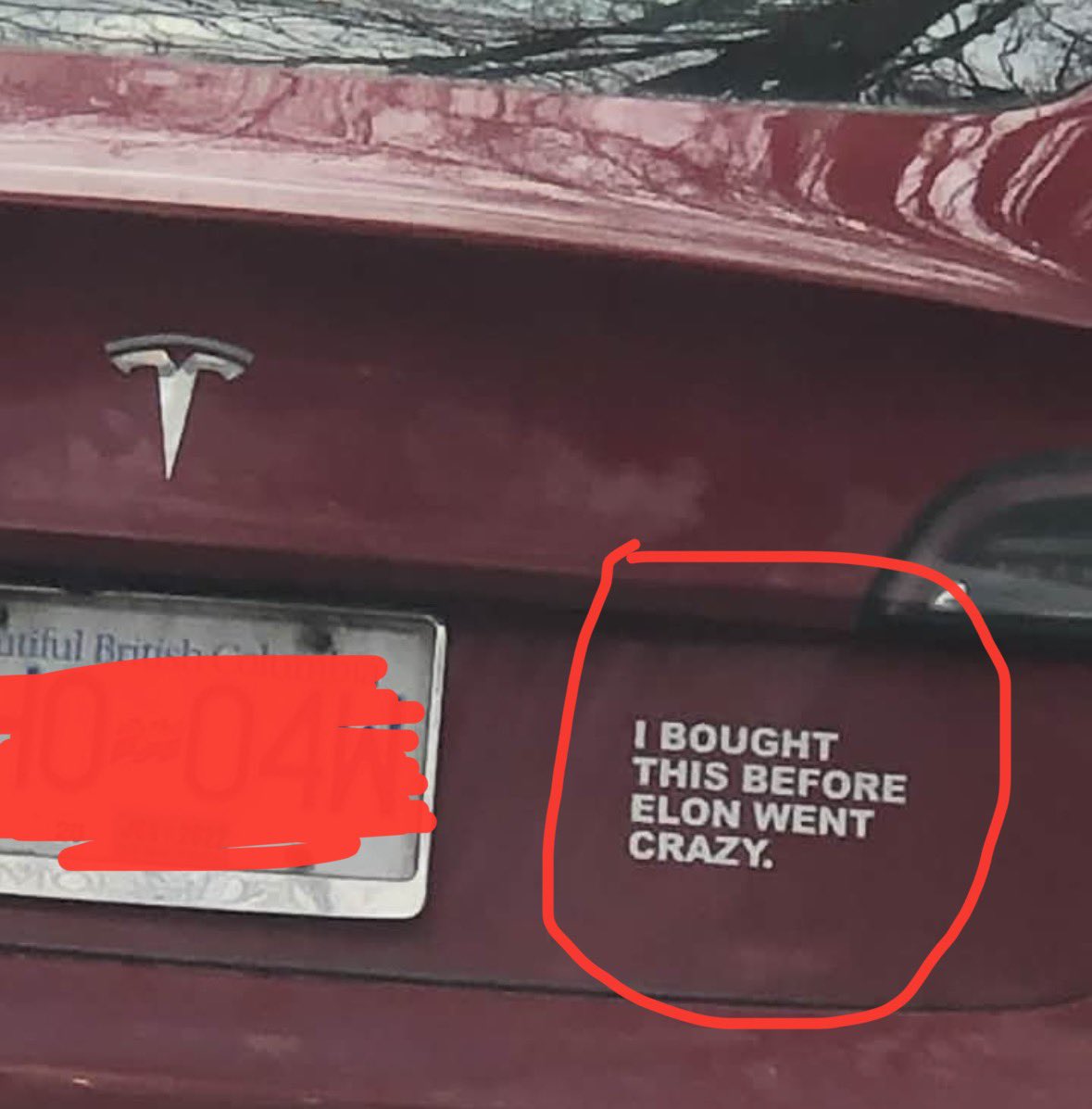 Kat Kanada tweet media