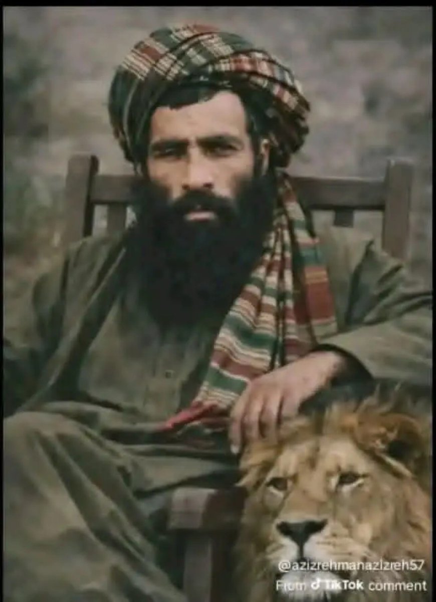 سعید الله مسرور tweet media