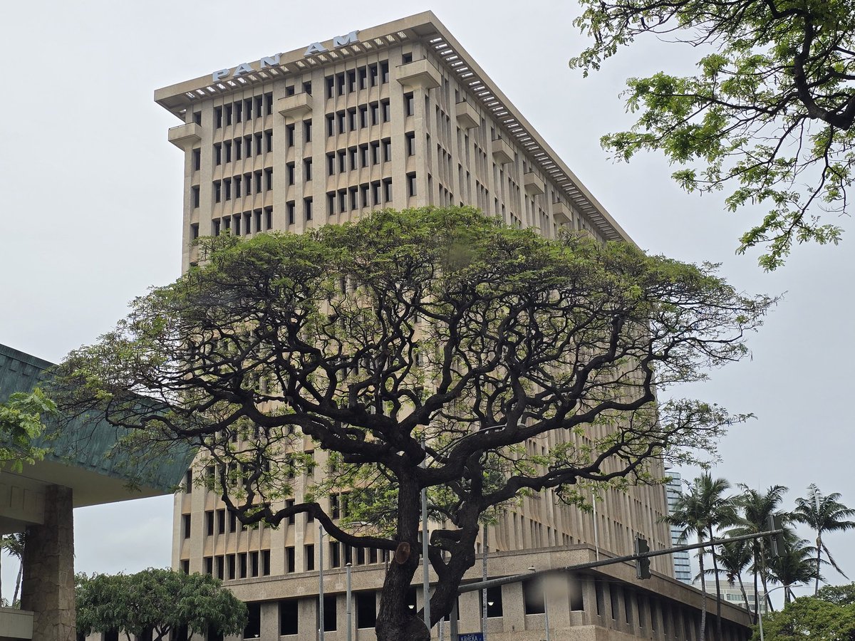 IncognitoMike72's tweet image. Cool things we say today.  🌸🍹
#Aloha