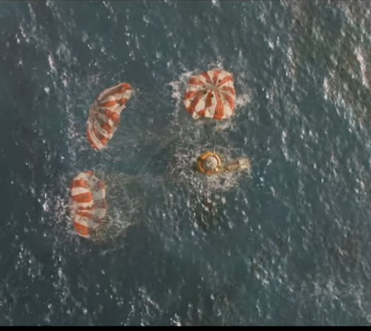 STOLENHORSES tweet media