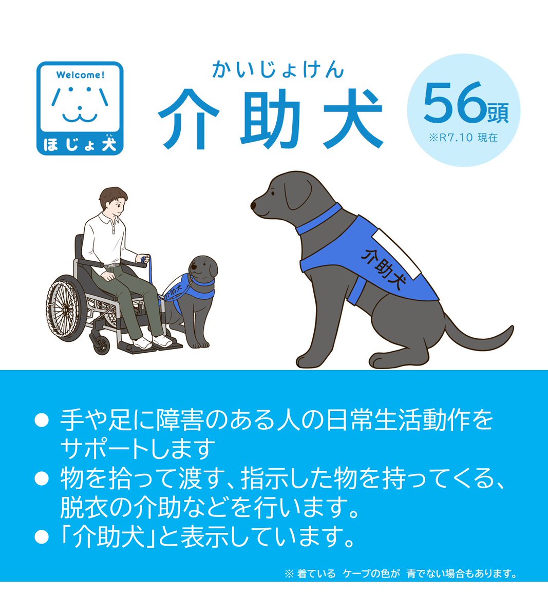 MHLWitter's tweet photo. 【ほじょ犬 ― 私たちにもできる支援】

身体障害者補助犬とは、盲導犬・介助犬・聴導犬のことです。

目や耳、手足に障害のある方をサポートするほじょ犬は、社会参加に欠かせない大切なパートナーです。

そっと見守る。それも大切な支援のひとつです。

https://t.co/Mbp59fUmlY https://t.co/J9SrEqQ4Rw