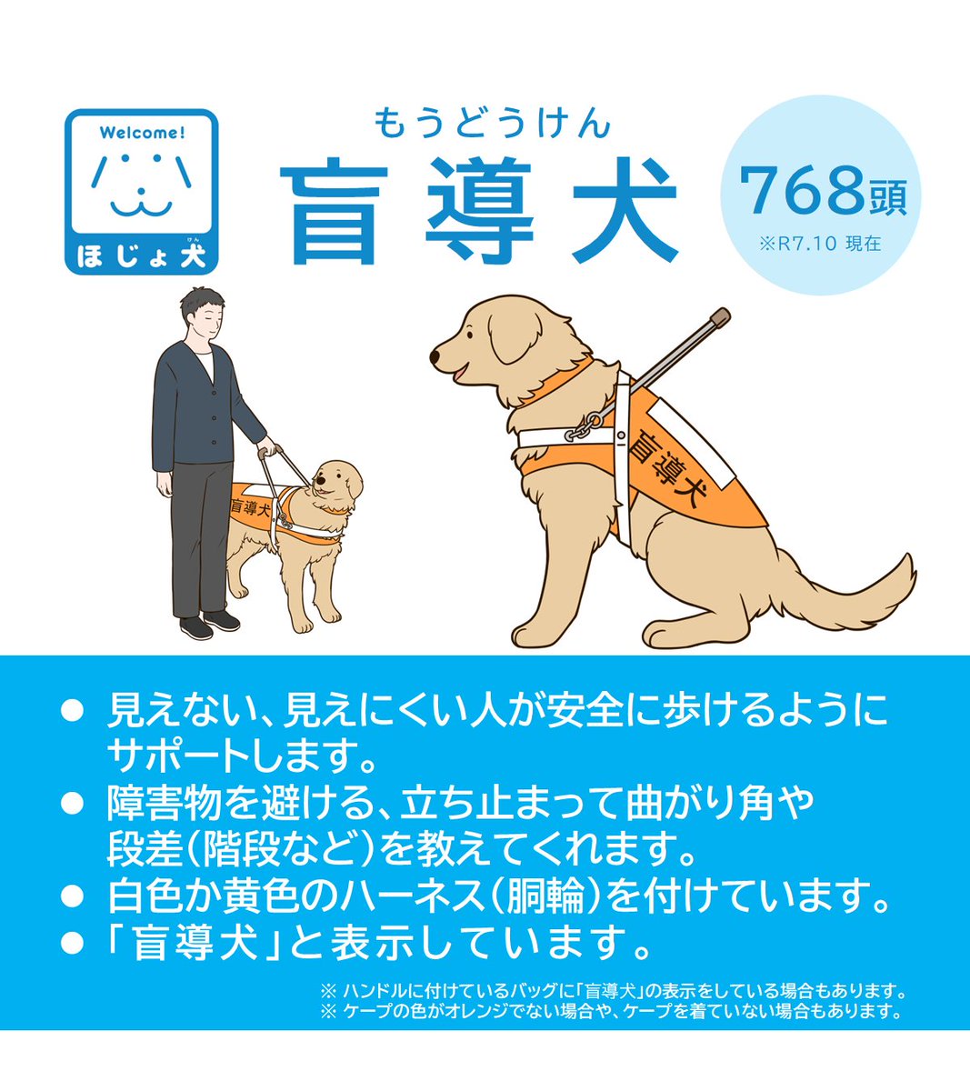 MHLWitter's tweet photo. 【ほじょ犬 ― 私たちにもできる支援】

身体障害者補助犬とは、盲導犬・介助犬・聴導犬のことです。

目や耳、手足に障害のある方をサポートするほじょ犬は、社会参加に欠かせない大切なパートナーです。

そっと見守る。それも大切な支援のひとつです。

https://t.co/Mbp59fUmlY https://t.co/J9SrEqQ4Rw