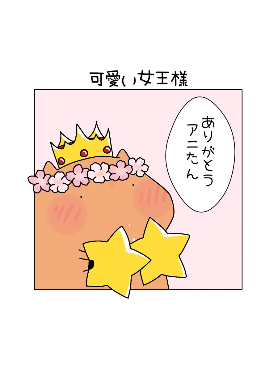 スターアニスおめでとう🌸💕
阪神JFと桜花賞で星2つ目🌟🌟

このコンビは可愛すぎますね🫠

#スターアニス
#桜花賞